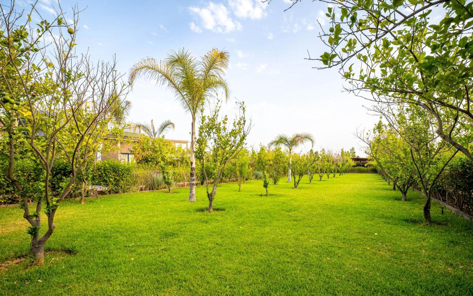 The Lemonary Marrakech Ouled Moumen Exterior foto