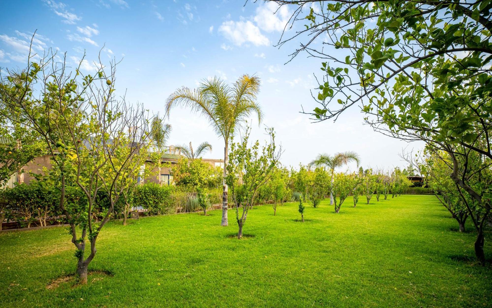 The Lemonary Marrakech Ouled Moumen Exterior foto