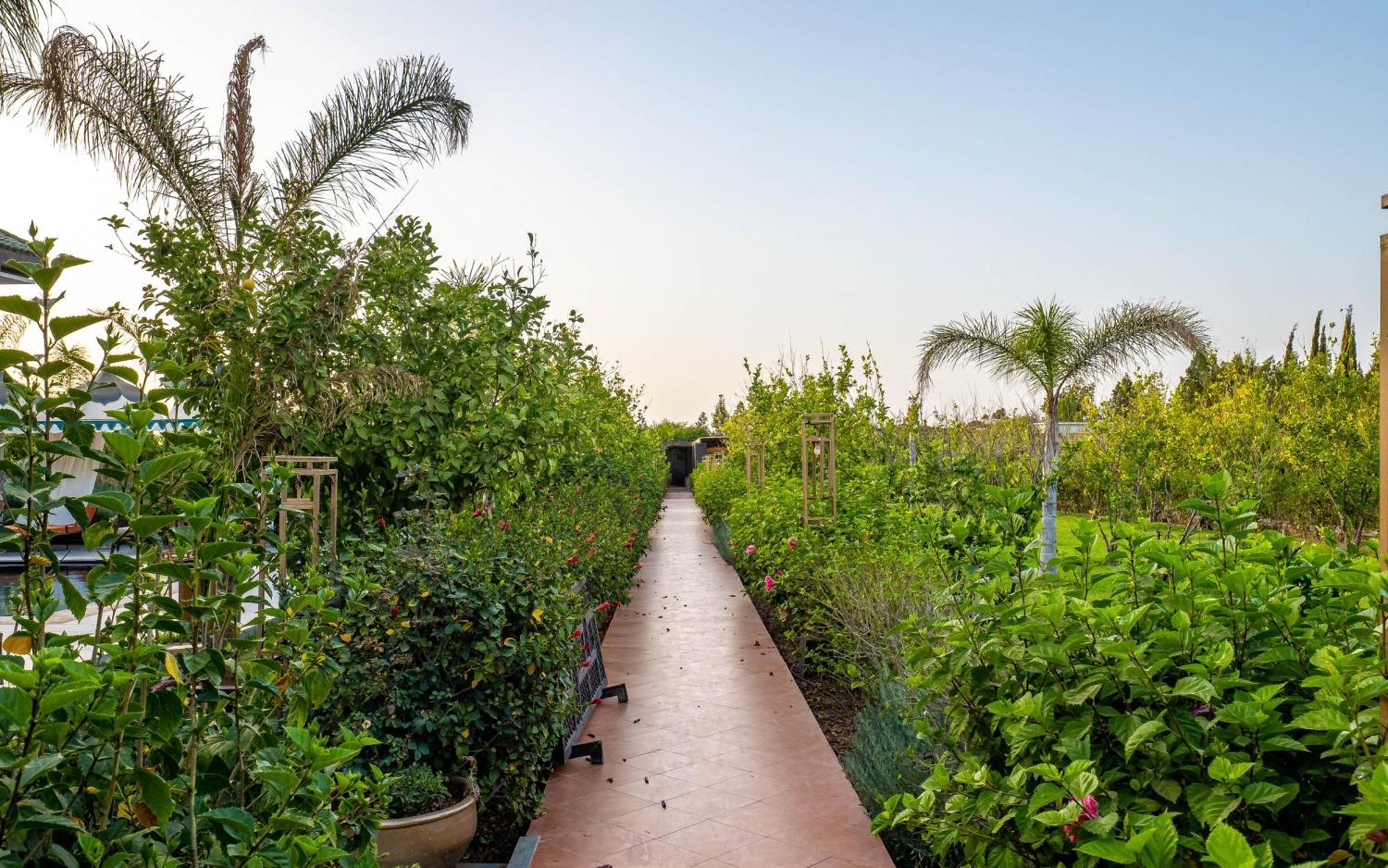 The Lemonary Marrakech Ouled Moumen Exterior foto